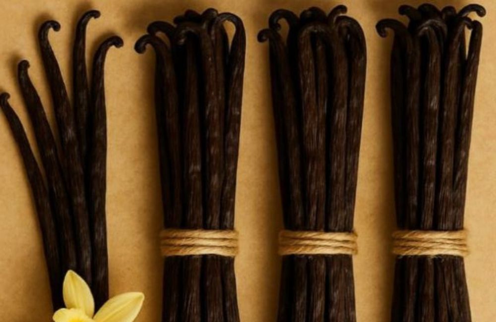 Vanilla Beans